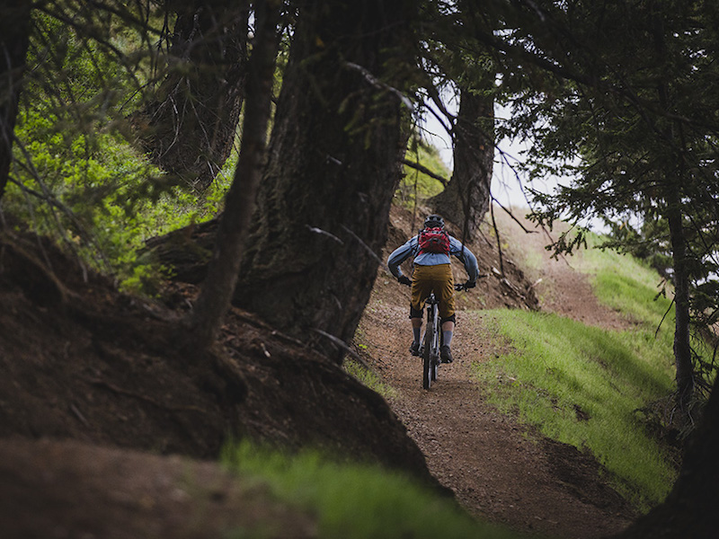 Lupine Flow Trail - Sun Valley, Idaho