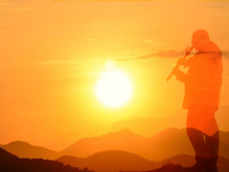 The Sun