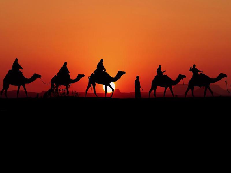 Camel Train
