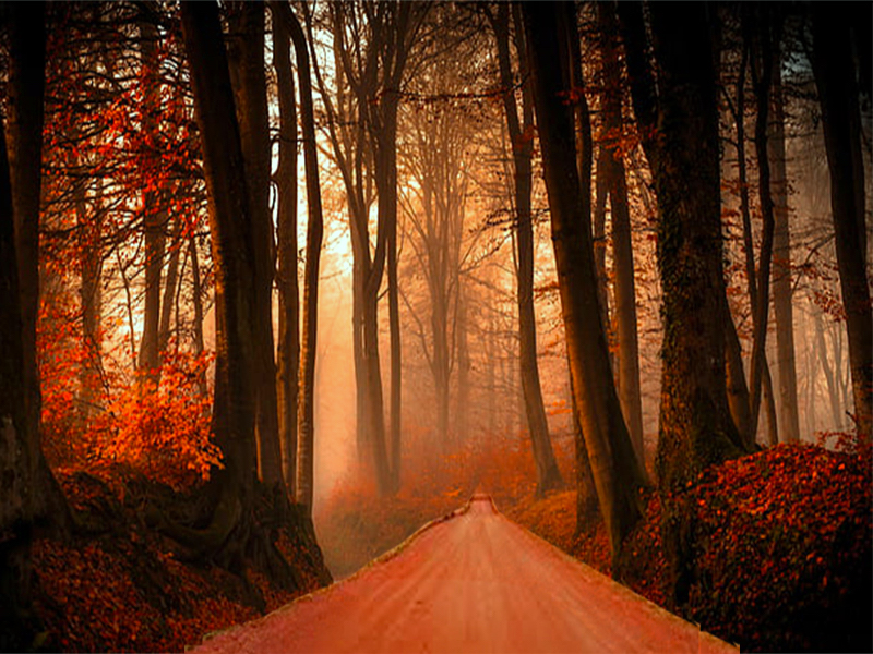 Red Road