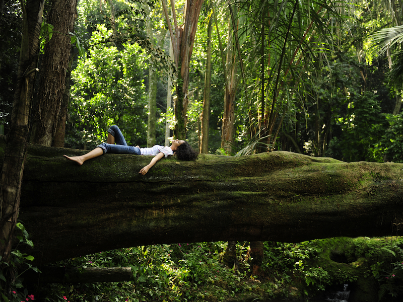 Forest Bating