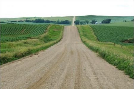 Endless Corn Fields