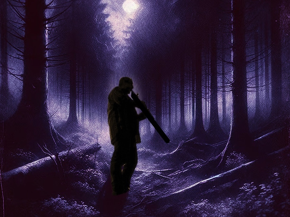 Where Shadows Fall