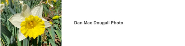 Dan Mac Dougall Photo
