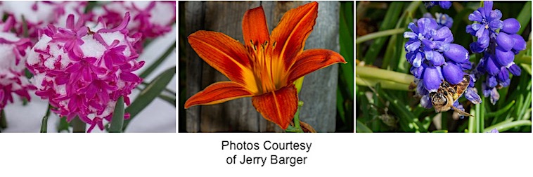 Jerry Barger Photos