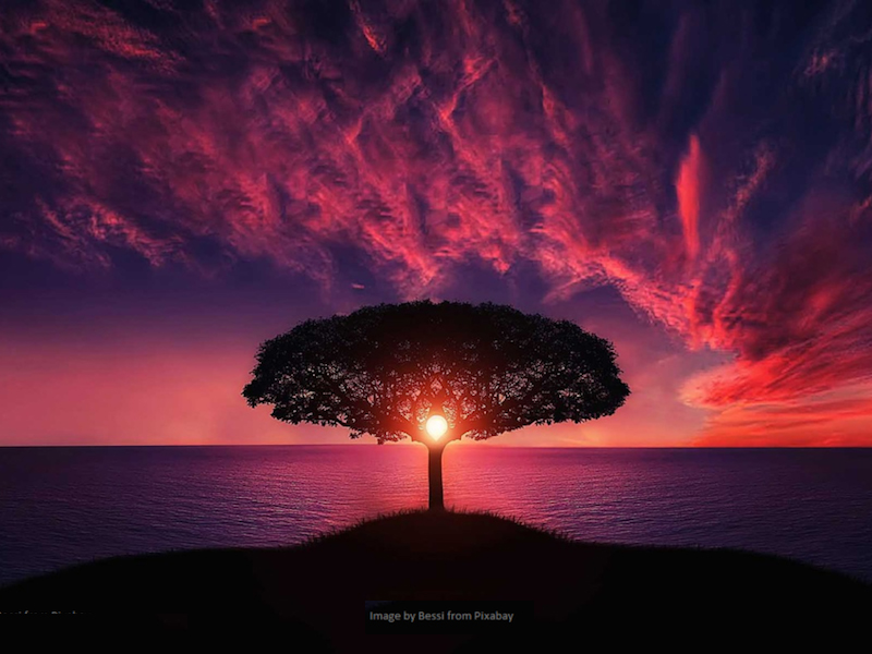 Transcendence