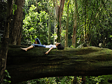 Forest Bathing