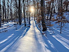 Fresh Snow!