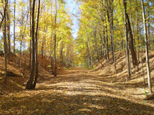 Millerton NY Rail Trail