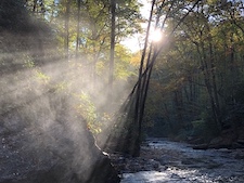 Sunbeams