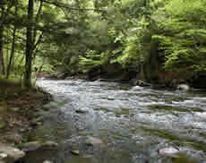 Connecticut River