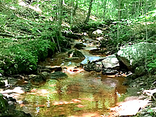 Copper Creek