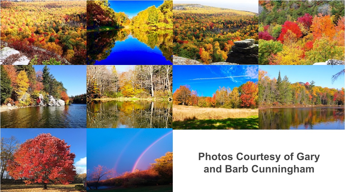Cunningham Photos